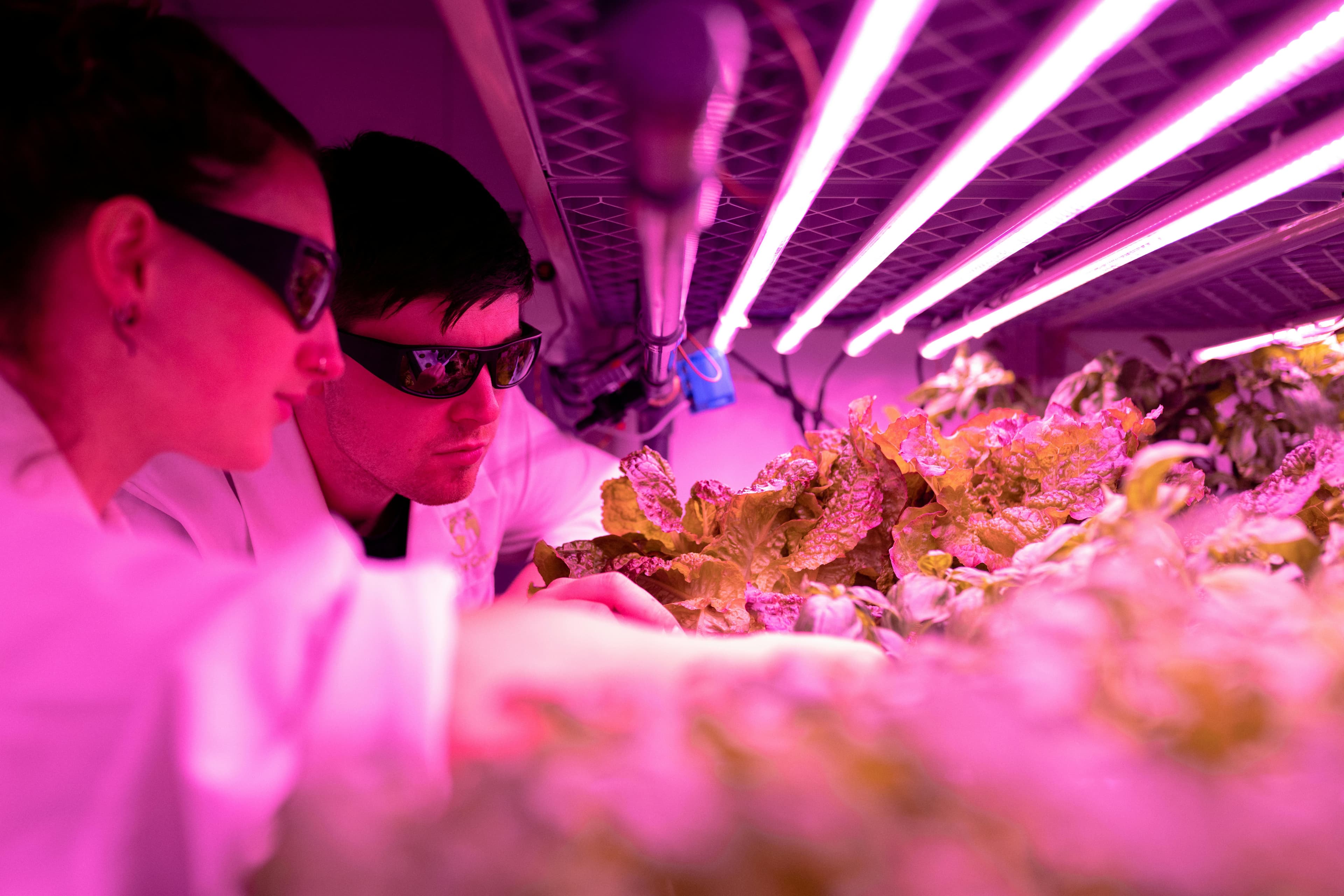 Cannabis facility construction and cultivation
